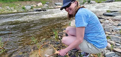 Estes Park Stream Fly Fishing