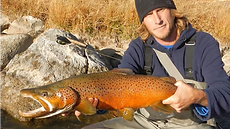 About Estes Park Fly Fishing About Estes Park Fly Fishing