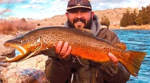 North Platte River Fly Fishing Guide