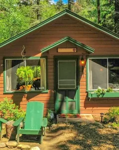 River Spruce Cabins