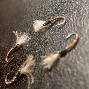 Screenshot_20260120_233643_Chrome